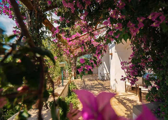 Bed and Breakfast Casa Flora Vietri