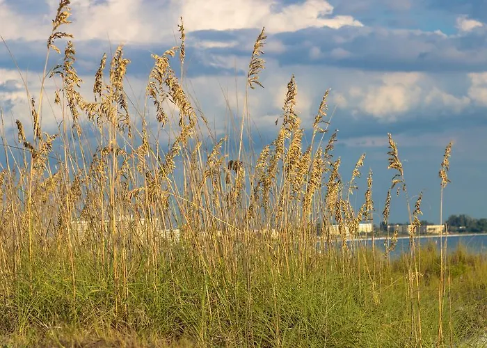 Minorga On The Key By Beachside Management Siesta Key