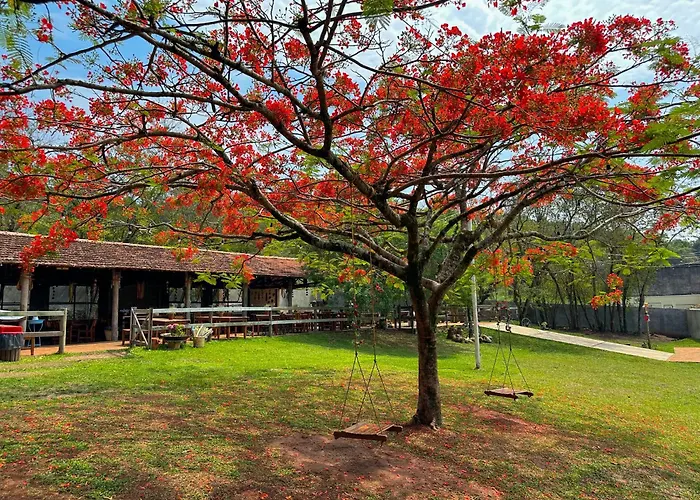 Resort Fazenda Sao João
