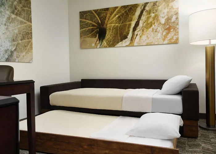 Springhill Suites Richmond Northwest Innsbrook
