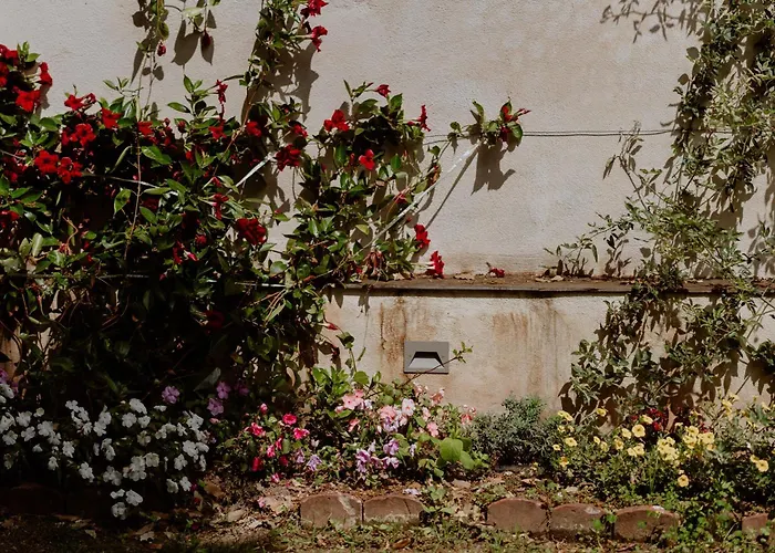 Hotel Il Giardino della Tartaruga Genova