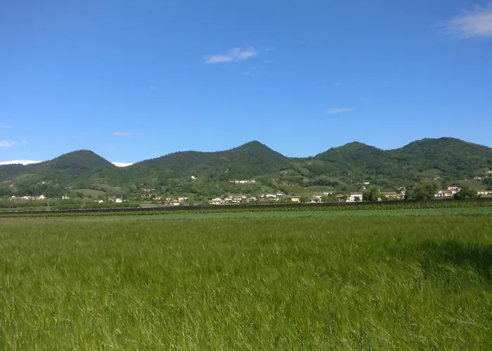 Oleaclub Locazione Turistica