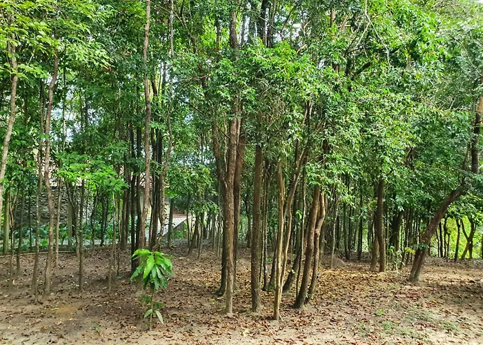 Bangalô Villas do Pratagy Maceió