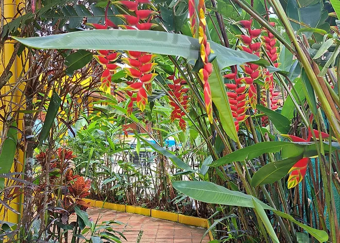 Pousada Trilha Da Serra Morretes