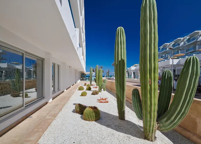 The Sea Hotel By Grupotel - Adults Only