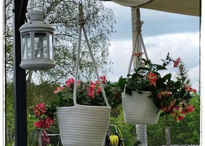 B&B Alle Betulle Pievepelago