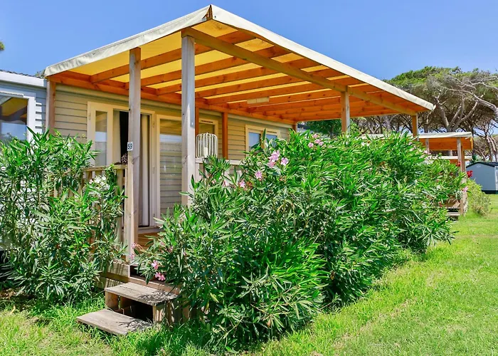 California Camping Village Montalto di Castro