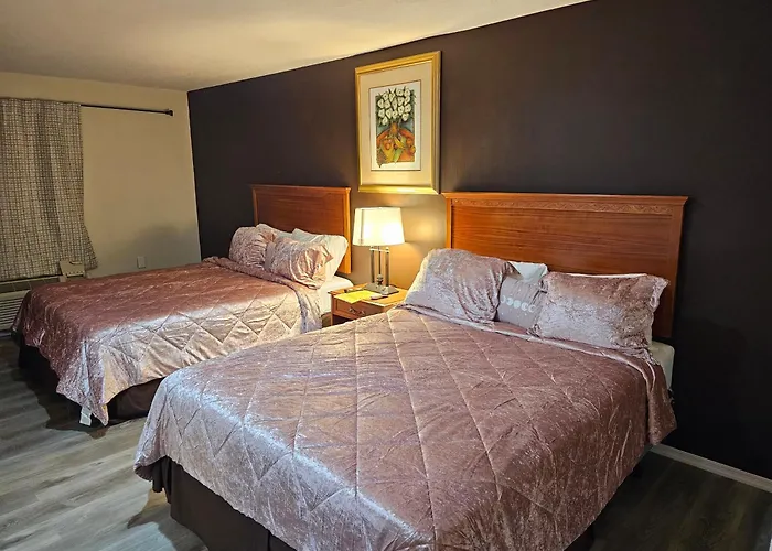 Duncannon Hotels