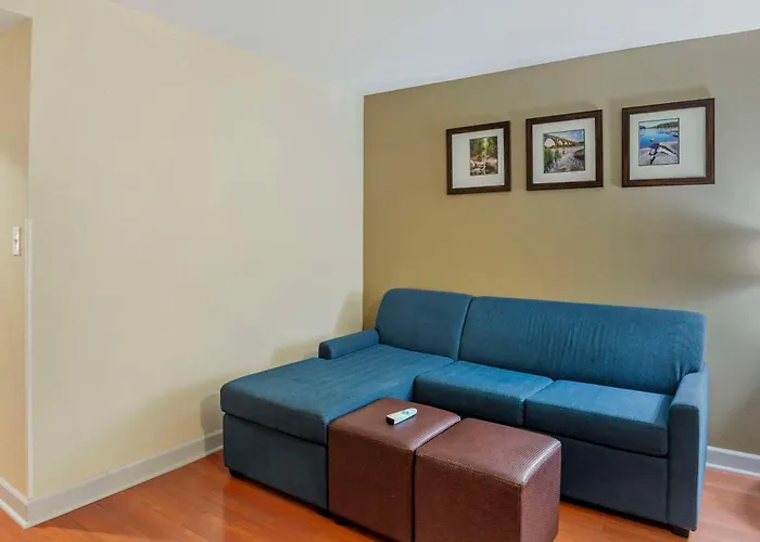 Comfort Suites At Virginia Center Commons Glen Allen