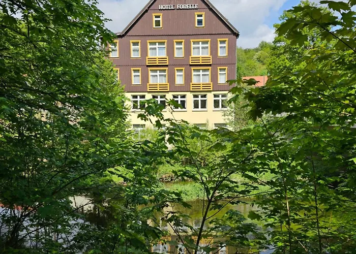 GreenLine Ferienhotel Forelle Thale