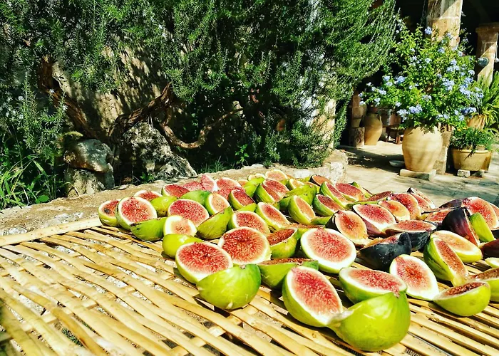 B&B Borgo del Gallo Tricase