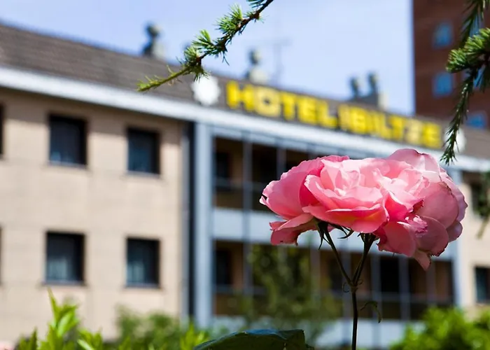 Hotel Ibiltze Lasarte-Oria