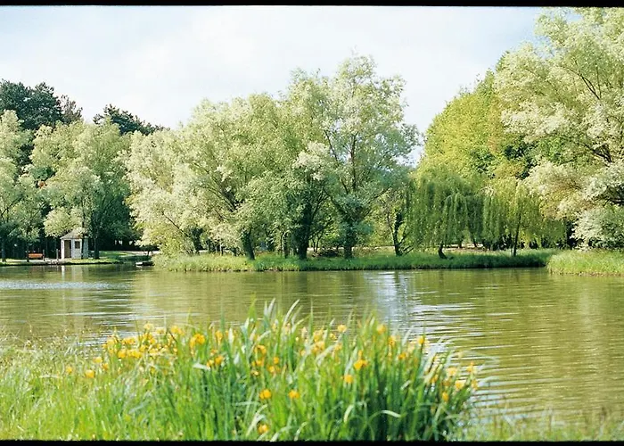 Hotel-Restaurant Du Lac Joué-lès-Tours