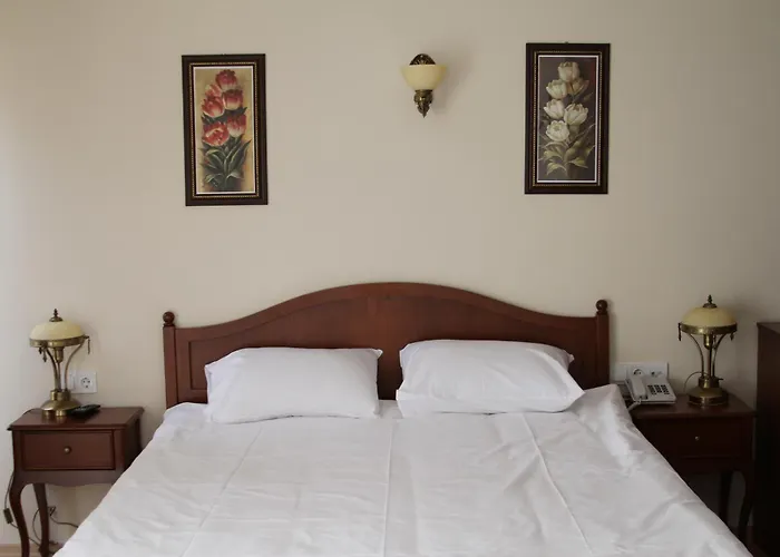 Basileus Hotel Istambul