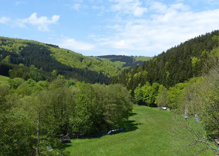 Cafe-Pension Waldesruh Willingen 