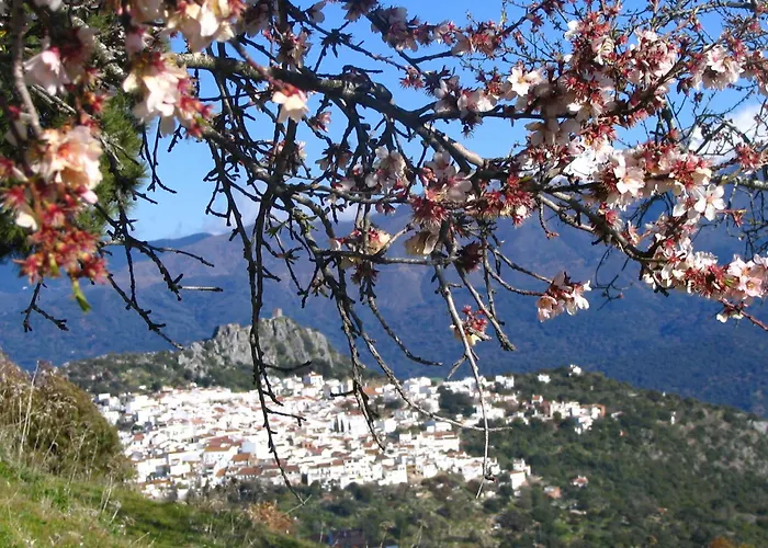 Hotel La Fructuosa Gaucín