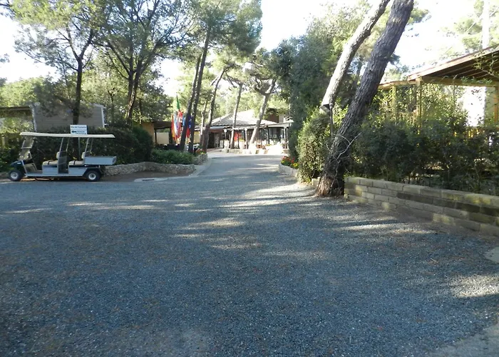 Camping Casa Di Caccia Marina Di Bibbona