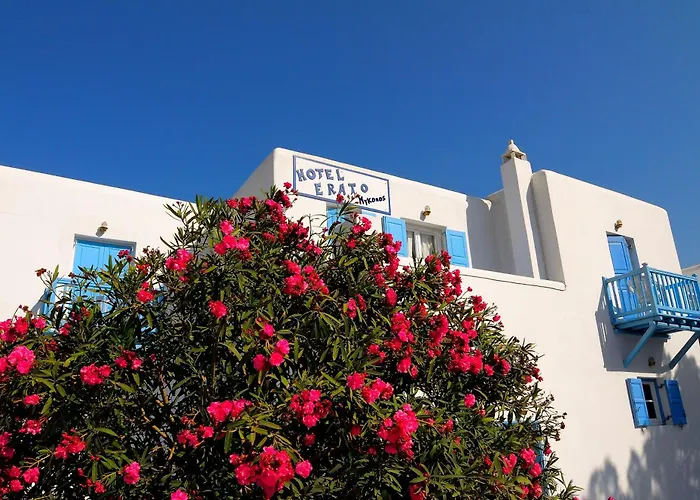 Erato Hotel Mykonos Ornos 