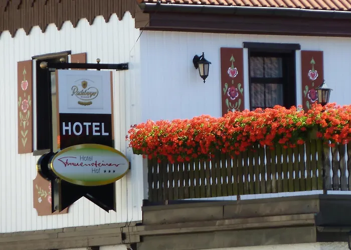 Hotels in Frauenstein (Saxony)