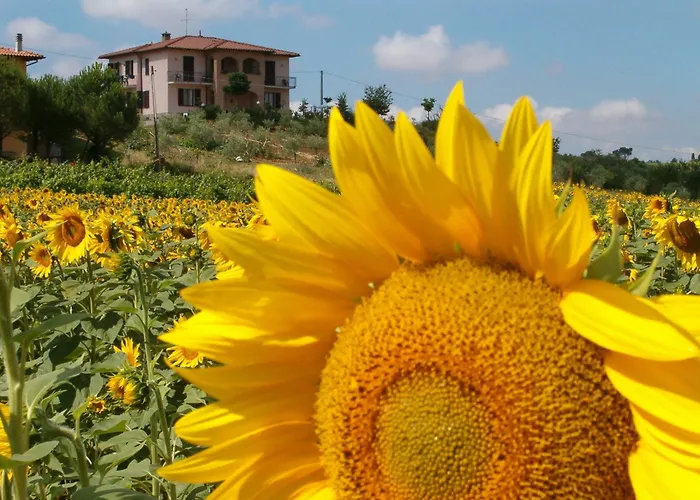 B&B Il Girasole - Rooms & House In Country - Air Conditioned - 1500 Meters From Historic Center