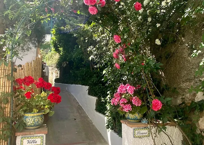 Villa Striano Capri - Guest House - Rooms Garden&Art