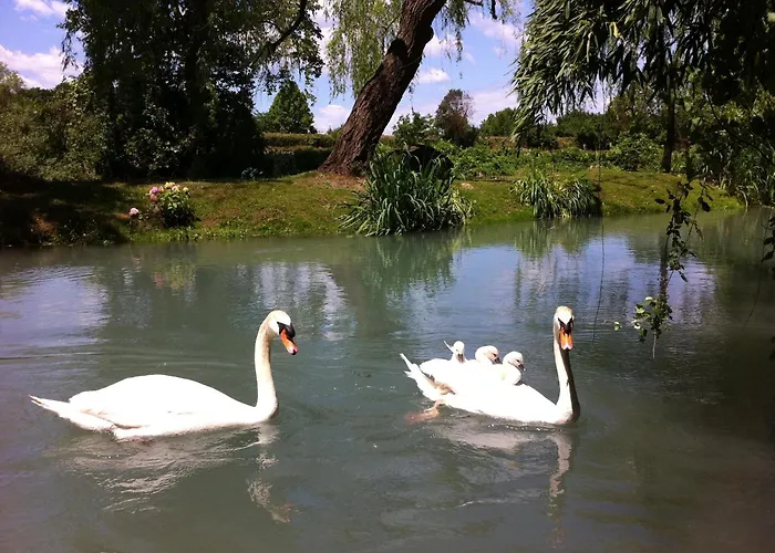 Bed and Breakfast La Finestra sul Fiume Valeggio sul Mincio