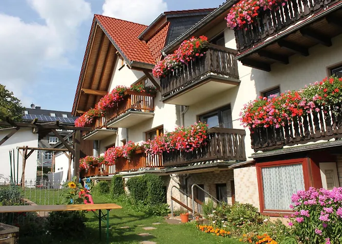 Pingponghotels in Willingen (Upland)