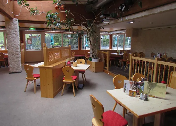 T3 Alpenhotel Garfrescha Sankt Gallenkirch