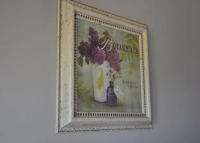 B&B Knotwilgenhoeve