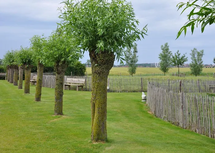 B&B Knotwilgenhoeve