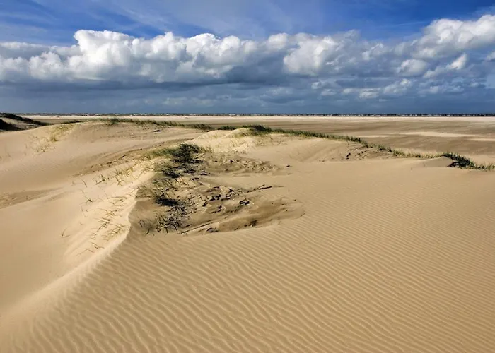 Ara Dune Hotel La Panne