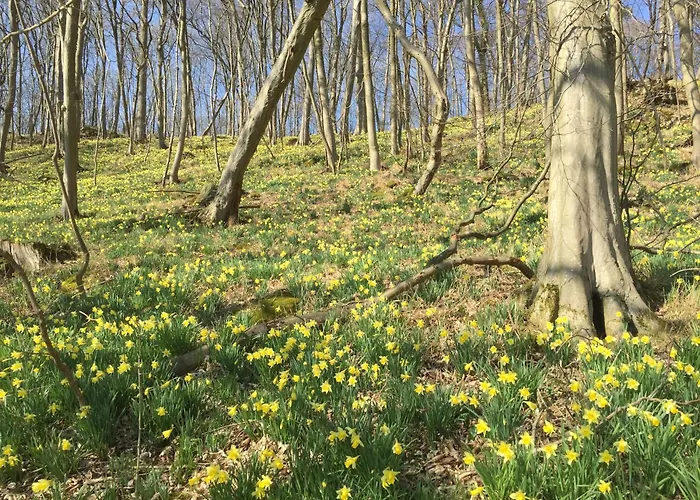 Venngasthof Zur Buche Monschau