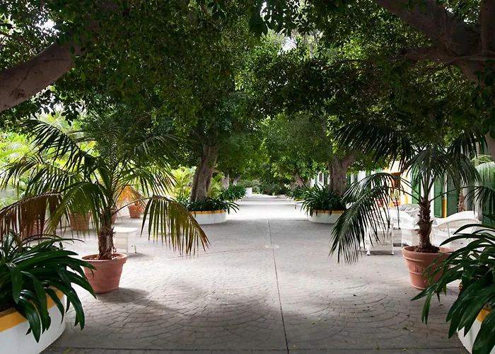 Hotel Cortijo San Ignacio El Cortijo 