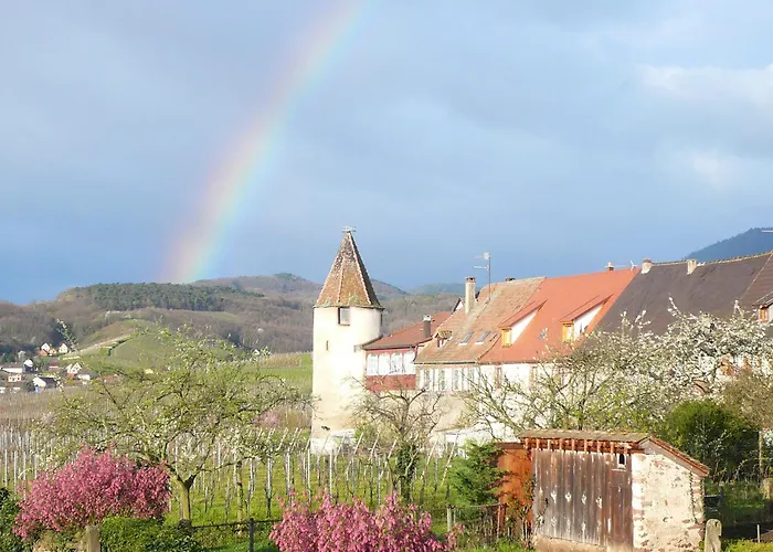 Hotel Munsch Restaurant & Wellness, Colmar Nord - Haut-Koenigsbourg Saint-Hippolyte 