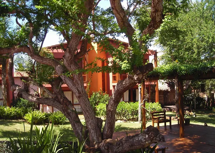 Naquela Jericoacoara