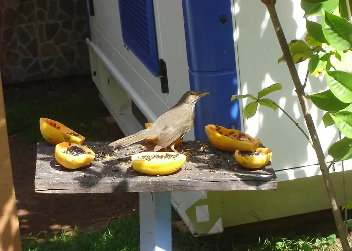 Pousada Pedacinho De Ceu Ilha Grande