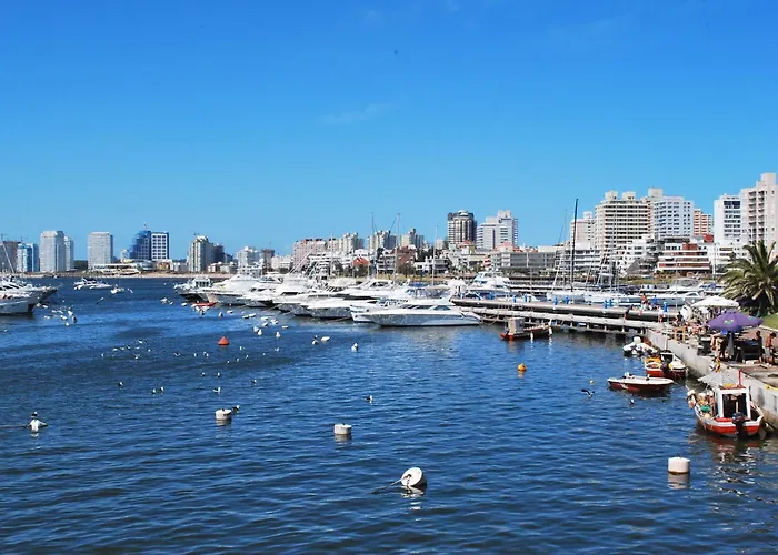 Hoteles en La Barra