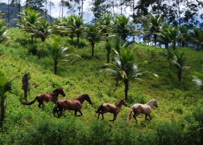 Hotel Eco Sítio Nosso Paraíso Saquarema