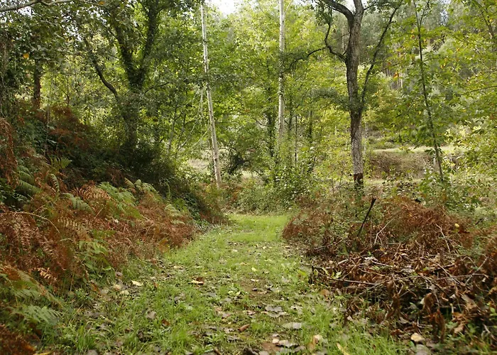 Vila Dos Castanheiros Ferreira do Zêzere