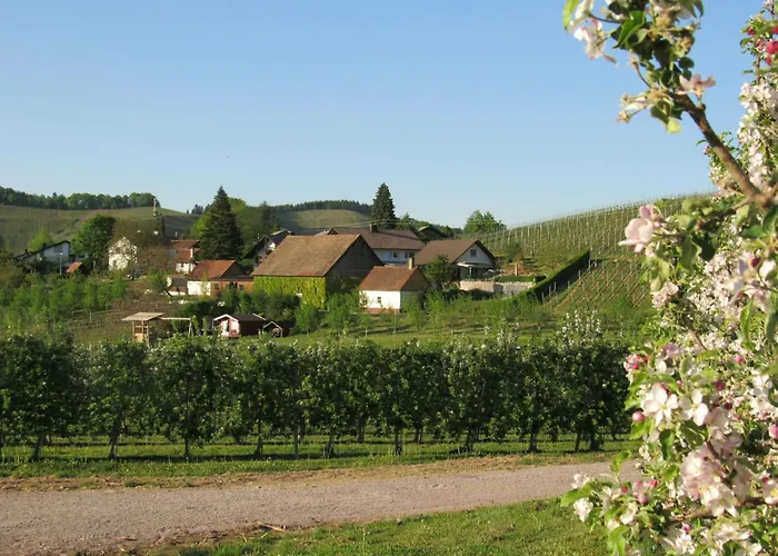 Gästehaus Wörner Durbach