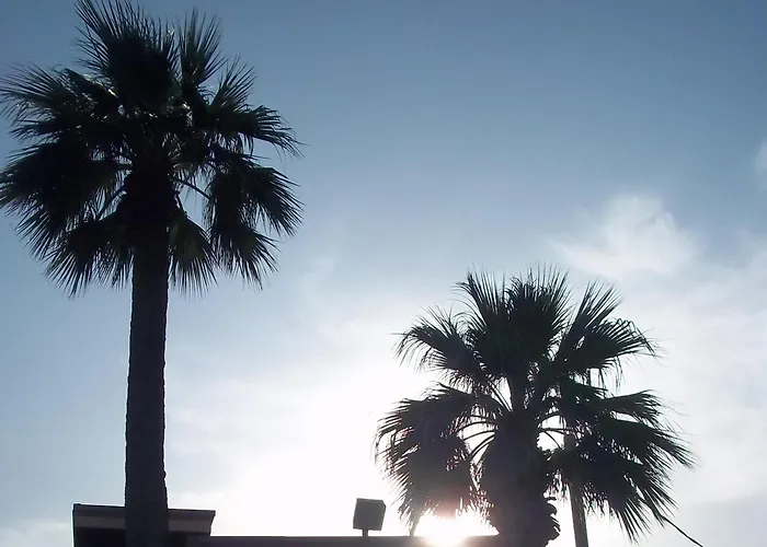 Whispering Palms Inn Del Rio