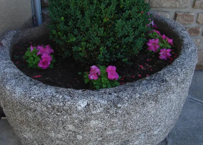 Chaudes-Aigues Hotels