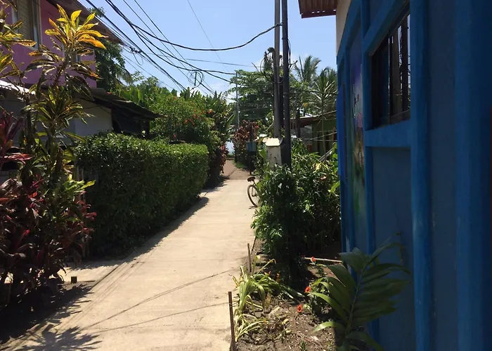 Green Macaw Hostel