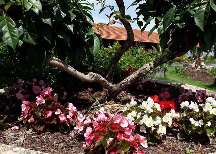 Parque Paraíso das Flores Holambra