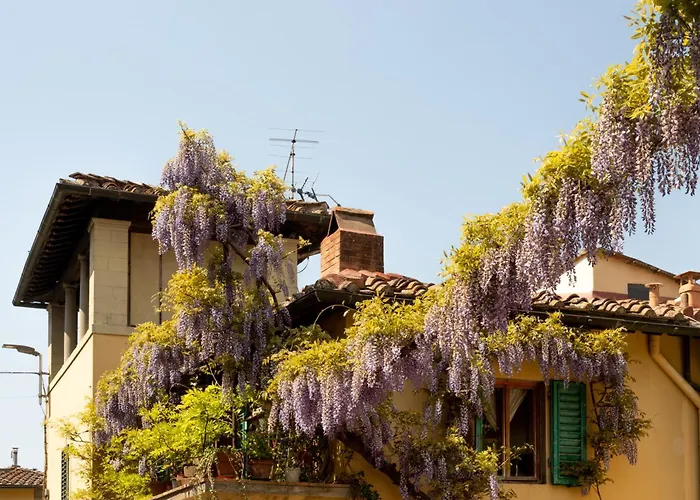 B&B Le Cannelle Fiesole