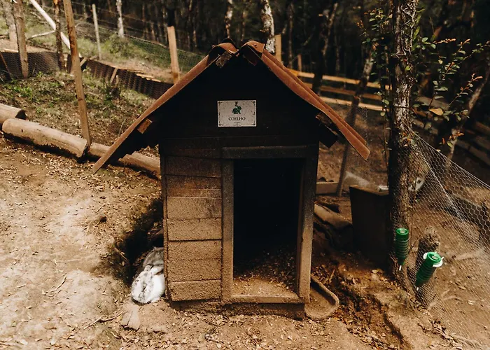 Chalé Harmonia da Floresta- Pousada Cachoeira da Neve