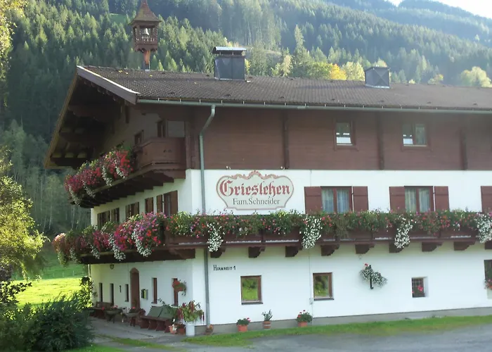 Bauernhof Grieslehen Bed and Breakfast Leogang