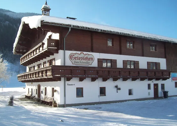 Bauernhof Grieslehen Bed and Breakfast Leogang