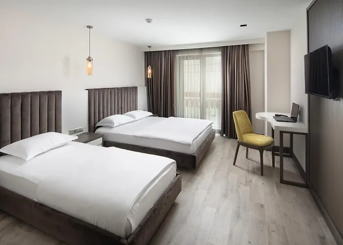 Sinema Hotel Ordu