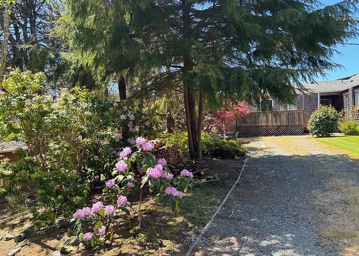 San Dune Inn Manzanita